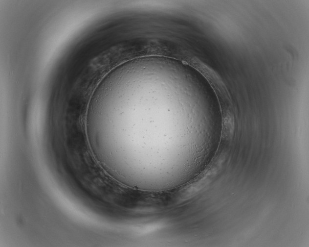 X0000115840765200911131530