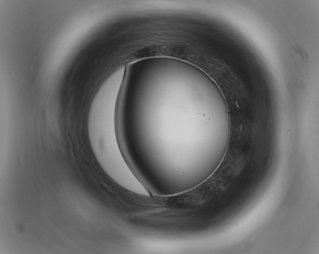 X0000115840766200911131530