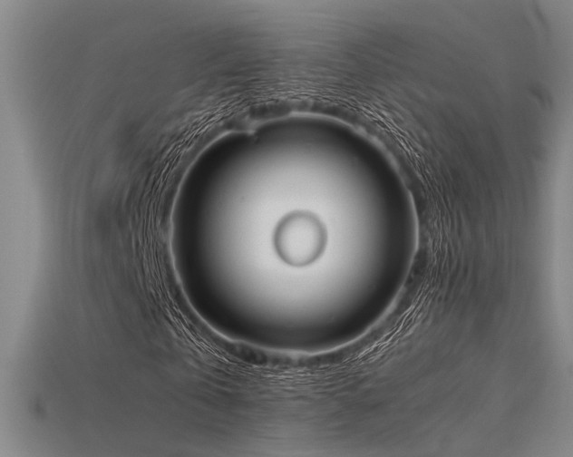 X0000115840769200911131530