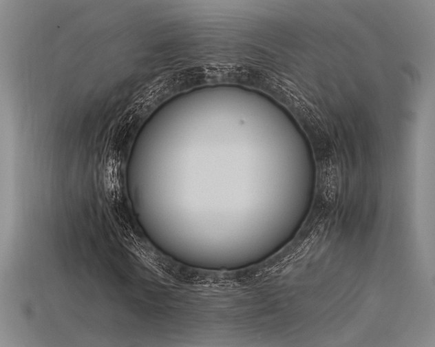 X0000115840770200911131530