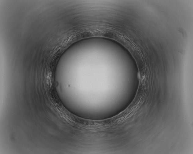 X0000115840772200911131530