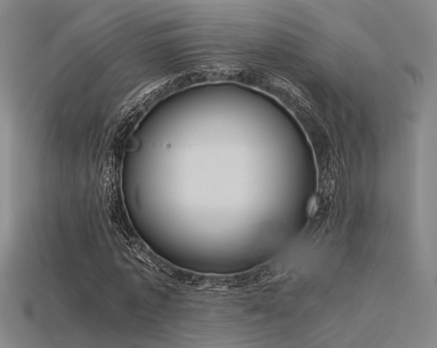 X0000115840773200911131530