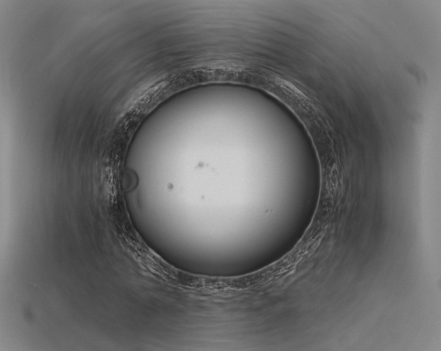 X0000115840774200911131530