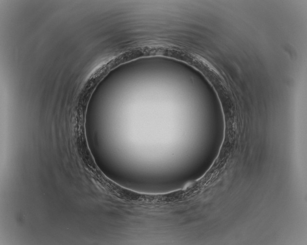 X0000115840775200911131530