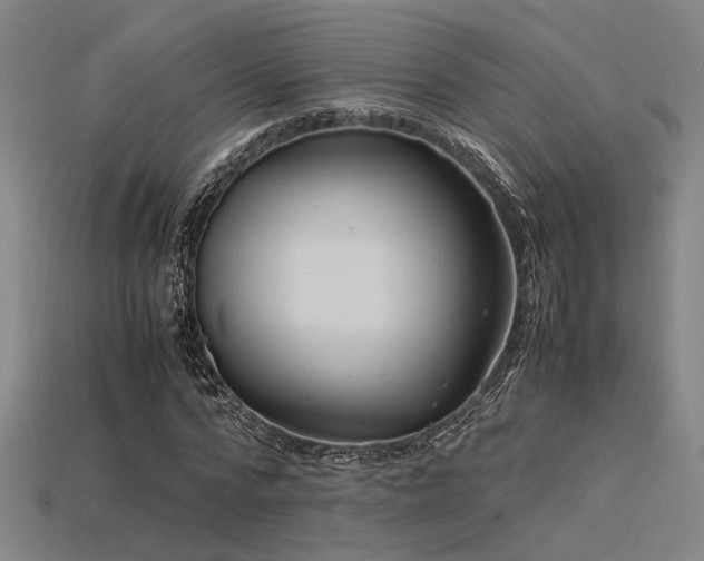 X0000115840776200911131530