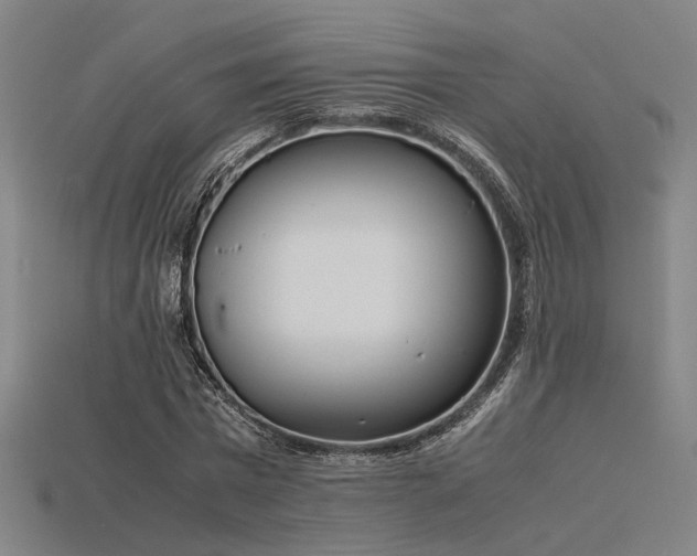 X0000115840777200911131530