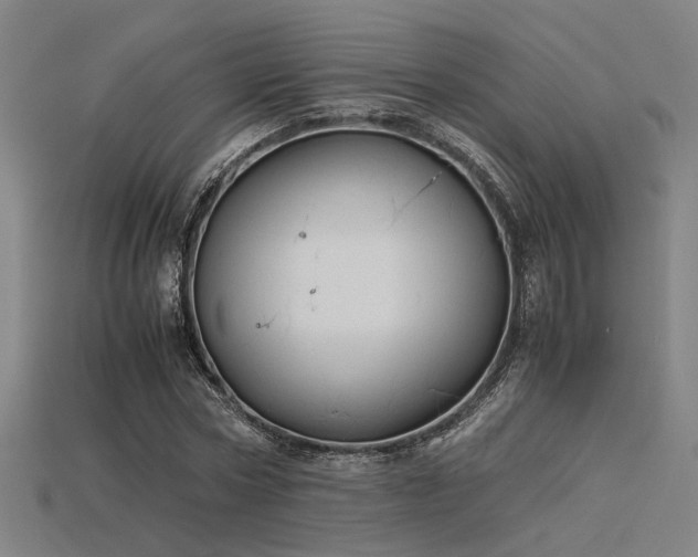X0000115840778200911131530
