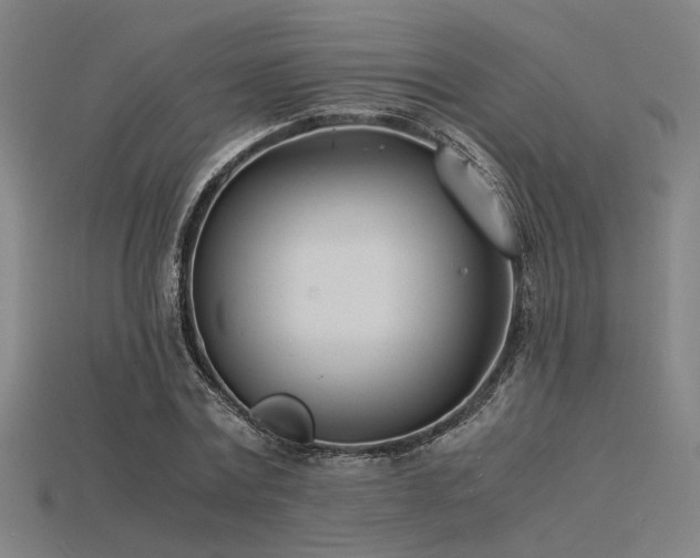 X0000115840779200911131530
