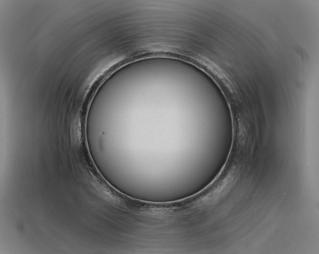 X0000115840782200911131530