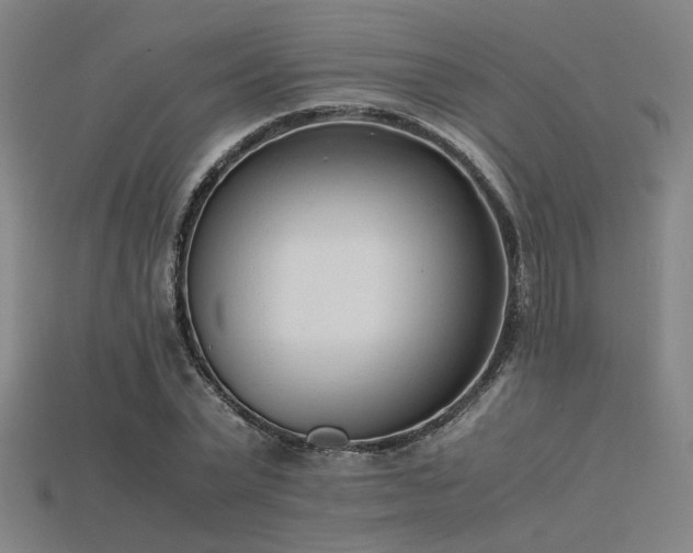 X0000115840783200911131530
