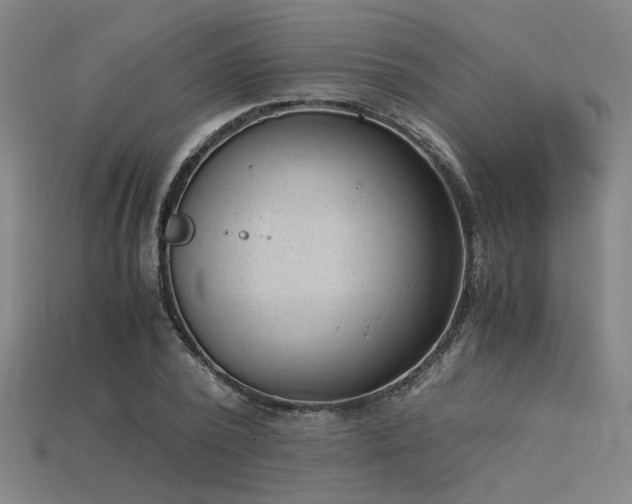 X0000115840784200911131530