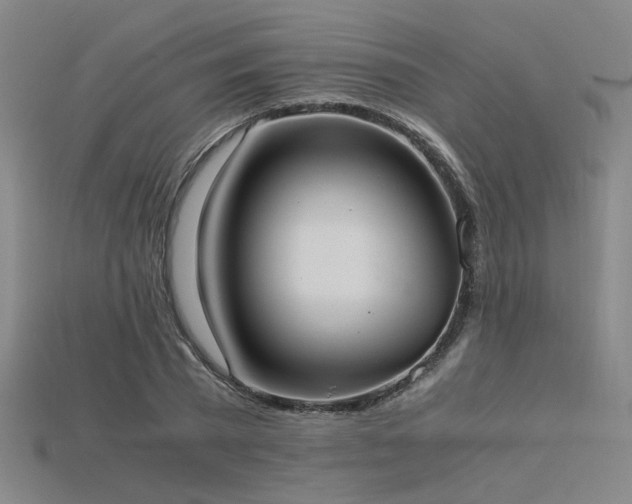 X0000115840785200911131530