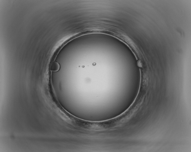 X0000115840787200911131530