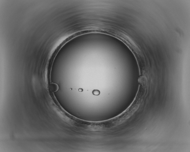 X0000115840788200911131530
