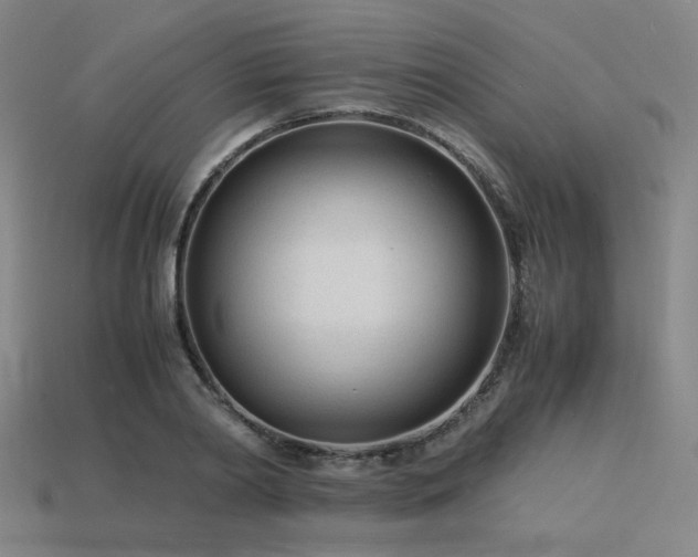 X0000115840790200911131530