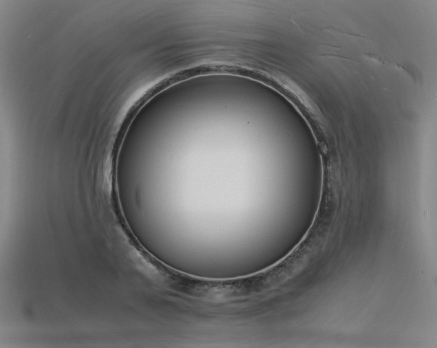 X0000115840791200911131530