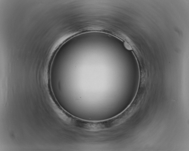 X0000115840795200911131530