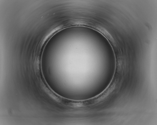 X0000115840798200911131530