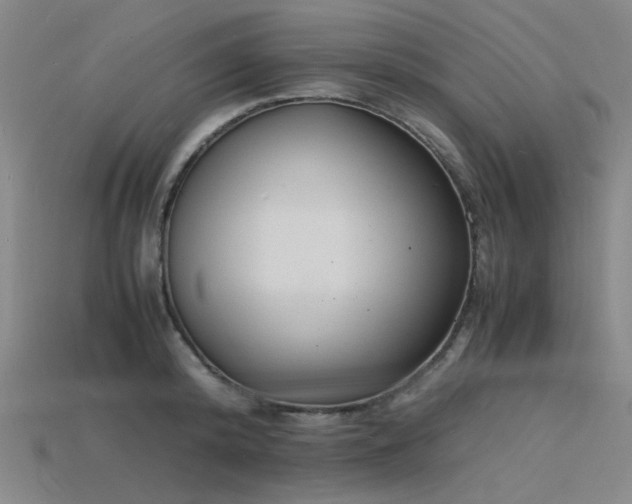 X0000115840800200911131530