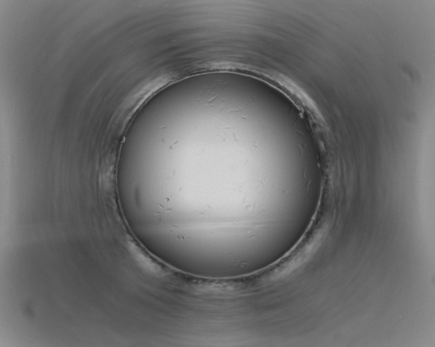 X0000115840801200911131529
