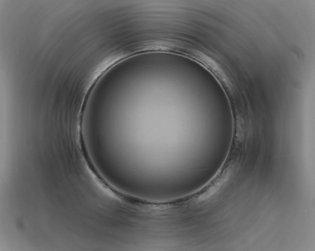X0000115840802200911131529