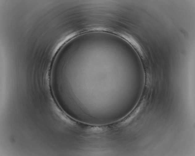 X0000115840806200911131529