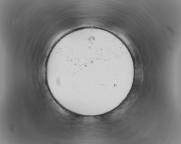 X0000115840807200911131529