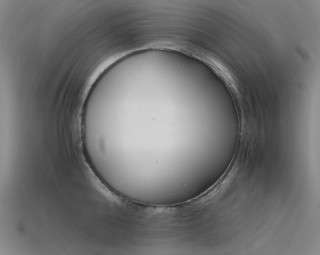 X0000115840808200911131529