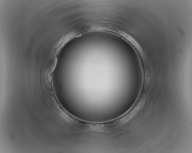 X0000115840809200911131529