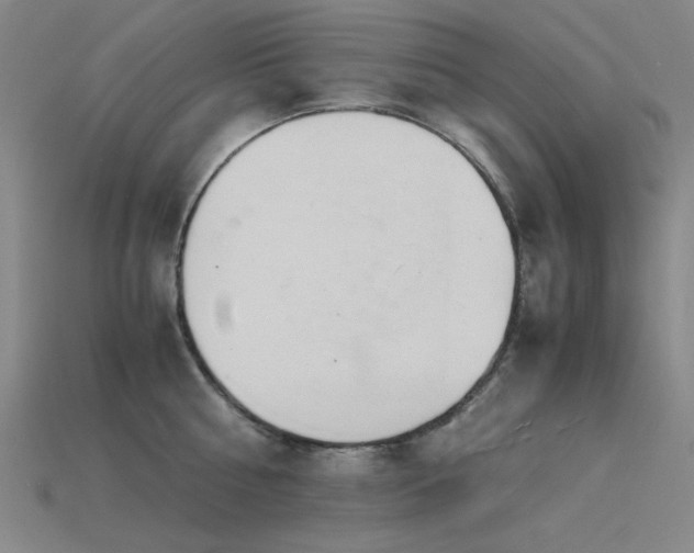 X0000115840810200911131529