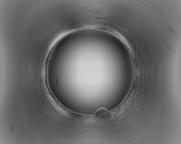 X0000115840811200911131529