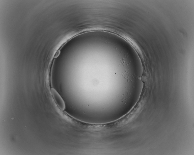 X0000115840813200911131529