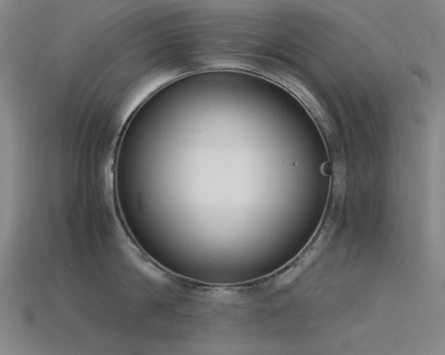 X0000115840814200911131529