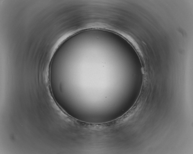 X0000115840815200911131529