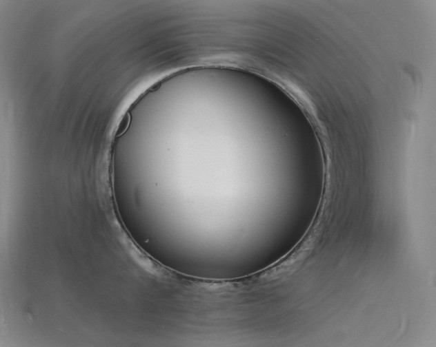 X0000115840816200911131529