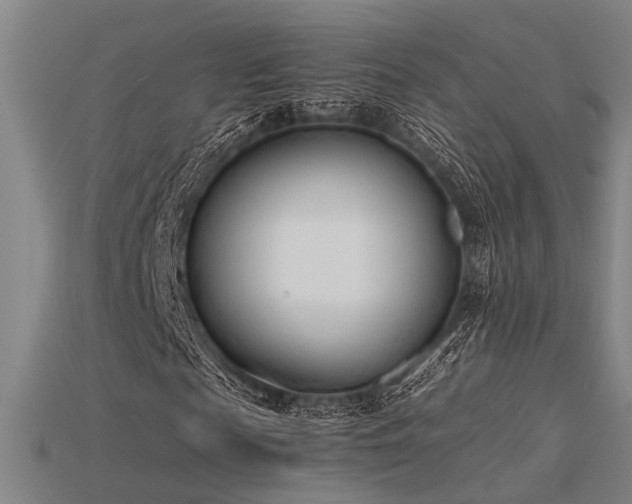 X0000115840817200911131529