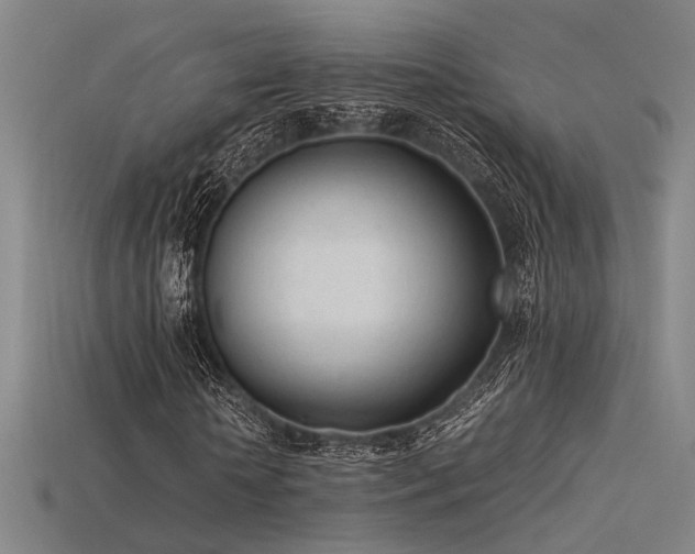 X0000115840818200911131529