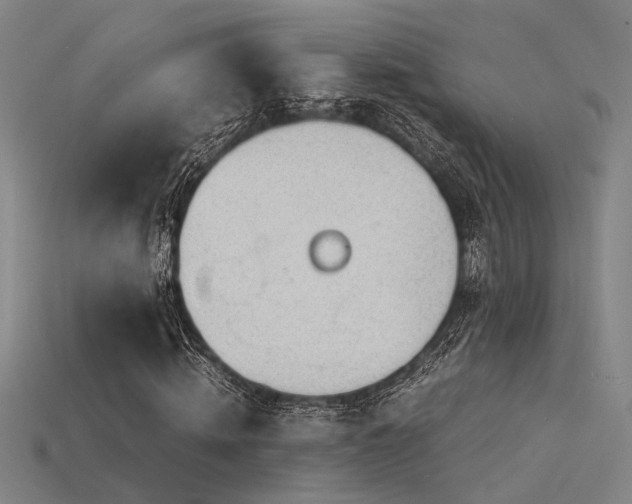X0000115840820200911131529