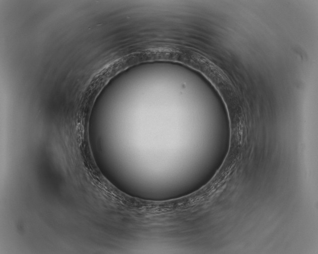 X0000115840821200911131529
