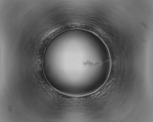 X0000115840822200911131529