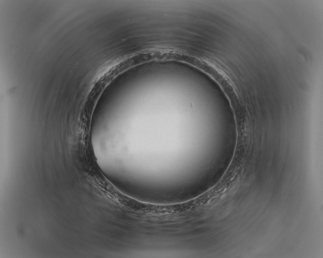 X0000115840823200911131529