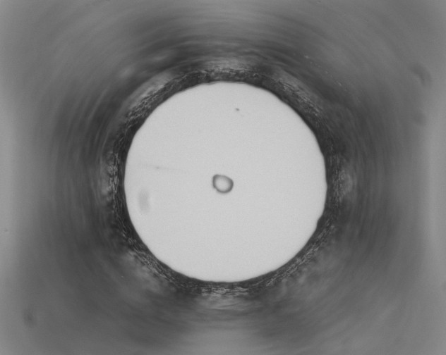 X0000115840824200911131529