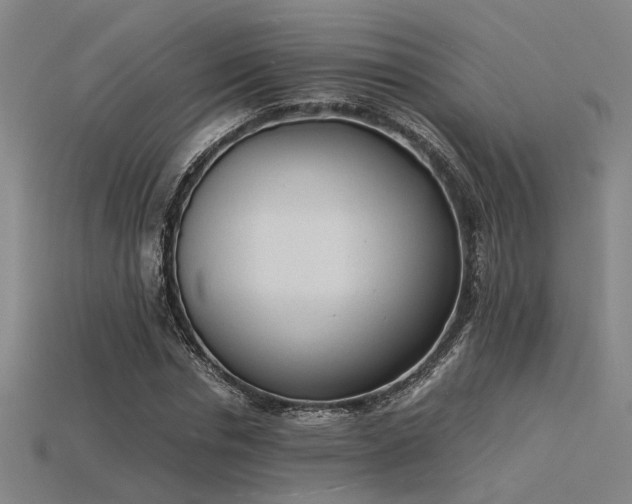 X0000115840826200911131529