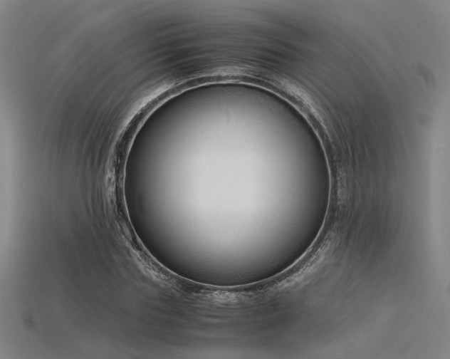 X0000115840827200911131529