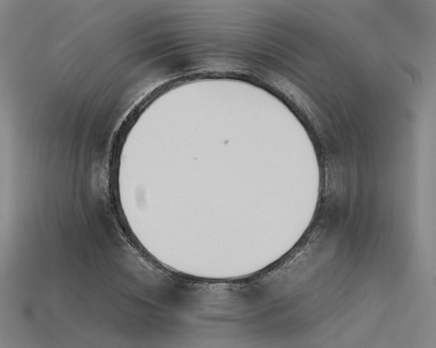 X0000115840828200911131529