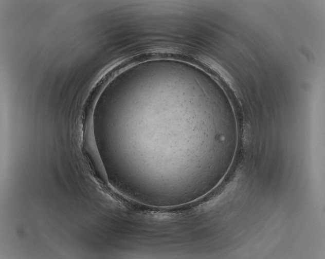 X0000115840829200911131529