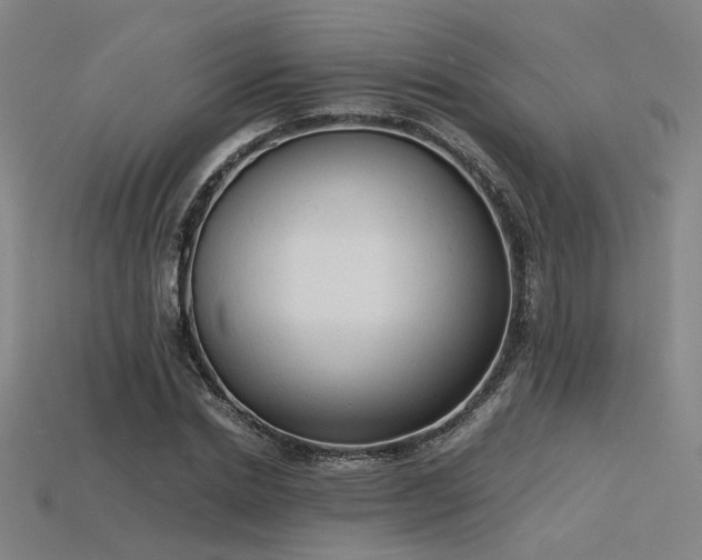 X0000115840830200911131529