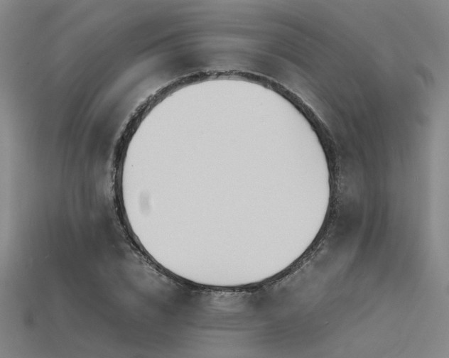 X0000115840832200911131529