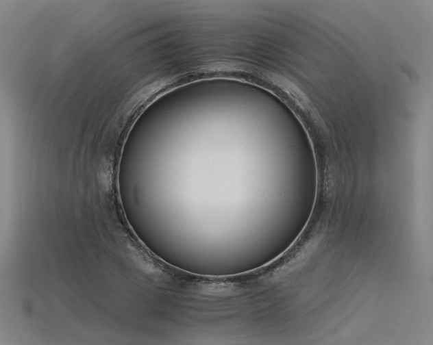 X0000115840833200911131529