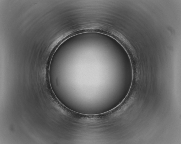 X0000115840834200911131529